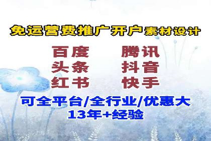 网络推广竞价策略解析与应用案例